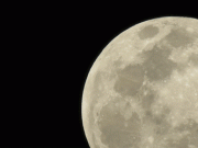Hujšanje z luno luna