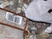 Najpogostejše pasti hujšanja najpogostejse_pasti_hujsanja